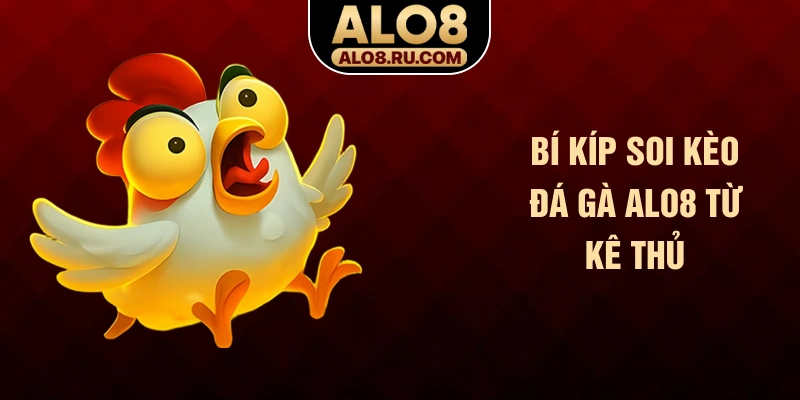 Bí kíp soi kèo đá gà ALO8 từ kê thủ
