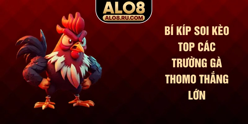 Bí kíp soi kèo top các trường gà Thomo thắng lớn
