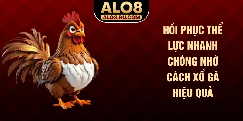 Hồi phục thể lực nhanh chóng nhờ cách xổ gà hiệu quả