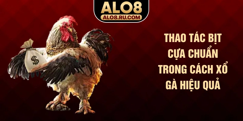 Thao tác bịt cựa chuẩn trong cách xổ gà hiệu quả